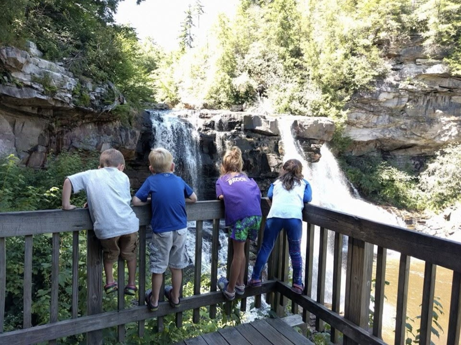 Four children leaning on a wooden observation-deck railing with their backs to the camera, watching the twin drops of Blackwater Falls pour over dark layered rock.