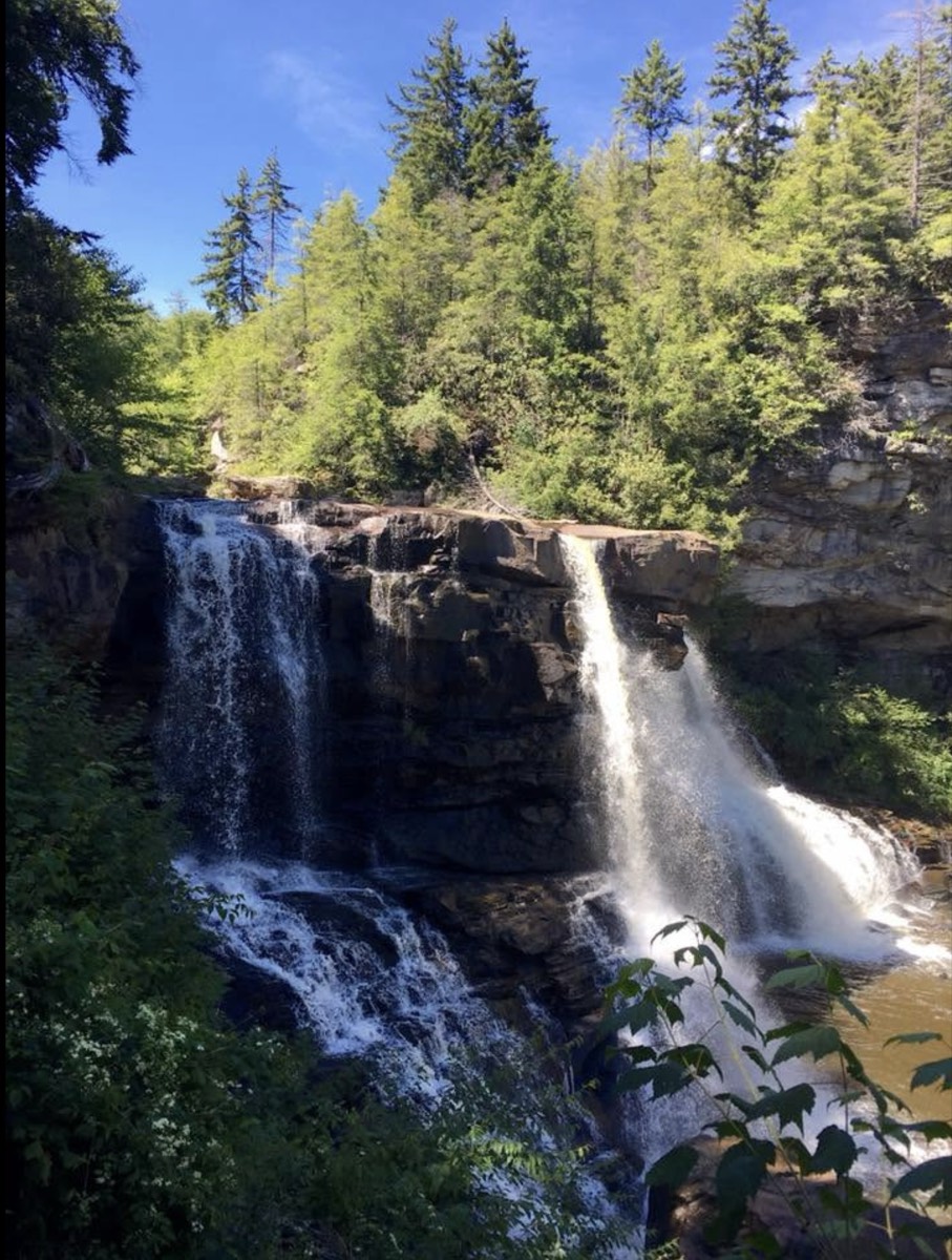 Blackwater Falls seen from the overlook, two separate falls dropping over stepped sandstone into a brown tannin-stained pool, evergreens above.