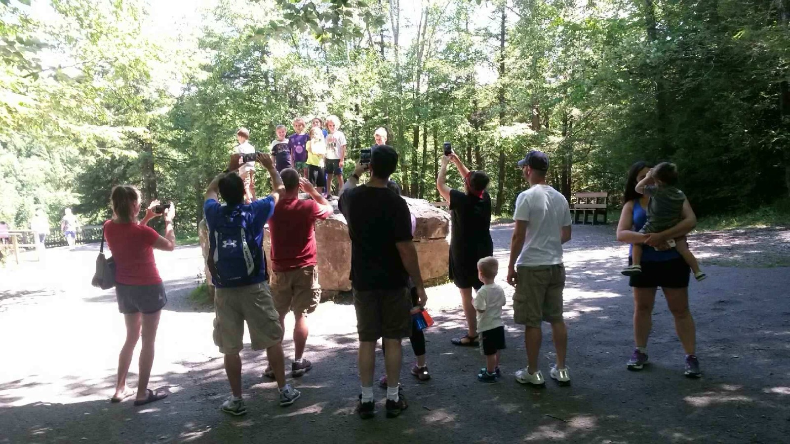 The full gang gathered around a large sandstone boulder at a forest overlook, several people posing on top while others take photos from below.
