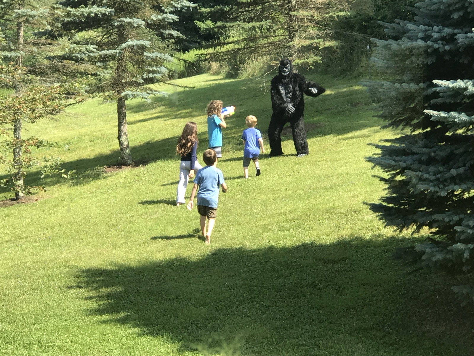 Four children walking across a sunny lawn toward a large upright gorilla, the lead child aiming a blue Super Soaker water gun at it, evergreens all around.