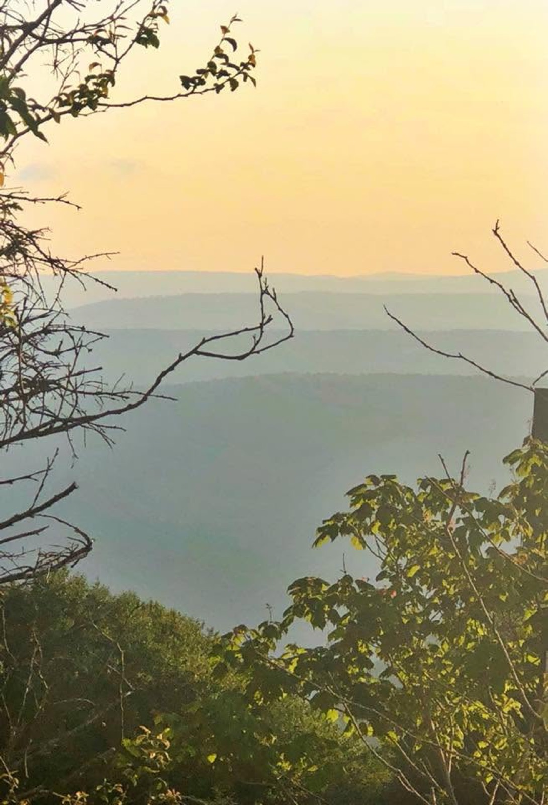 A hazy sunset from a mountain overlook, layered blue ridges receding into a pale gold sky, framed by dark branches.