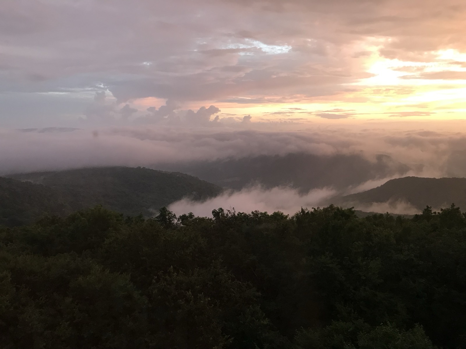 Low cloud pouring through forested mountain ridges below the viewpoint, the sky above them going orange and pink through broken cloud.