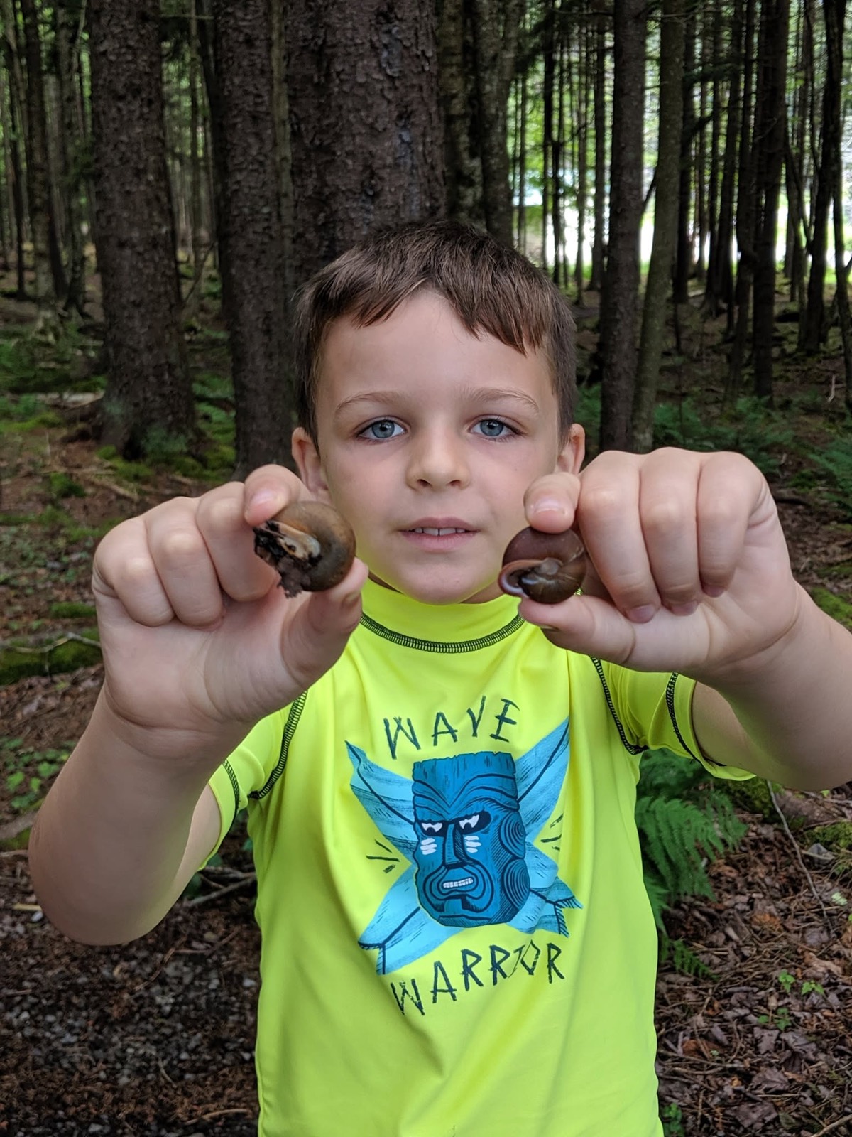 A boy in a neon yellow rash guard holding a brown snail up in each fist toward the camera, tall spruce trunks and green forest floor behind him.
