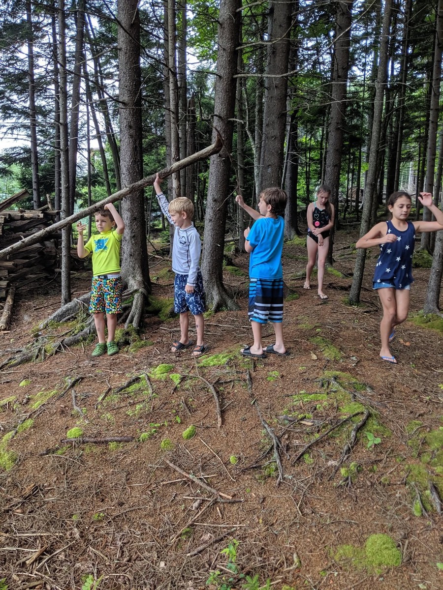 Five children standing spaced out across a mossy, root-covered forest slope with arms raised, tall bare tree trunks rising around them.
