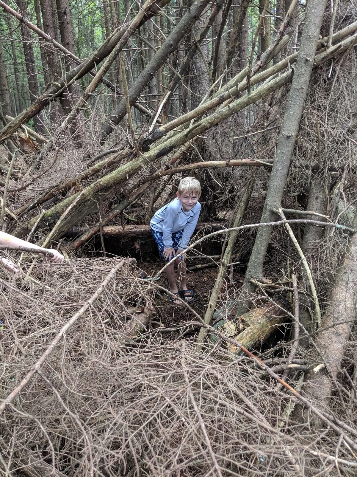 A blond boy in a light blue rash guard standing inside a huge tangle of fallen spruce trunks and dead branches in the forest, grinning up at the camera.