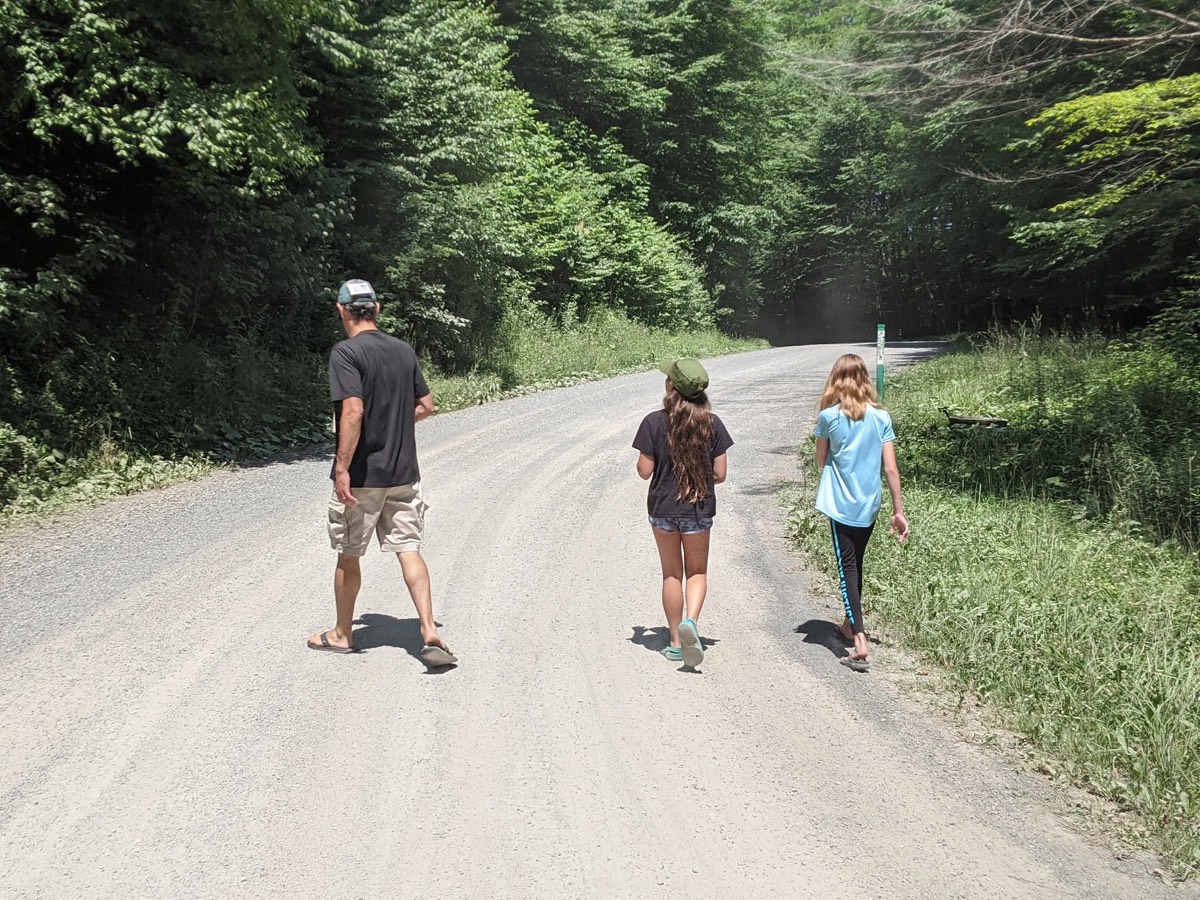 Three people walking away from the camera along a gravel road through dense summer woods, sunlight on the trees ahead.