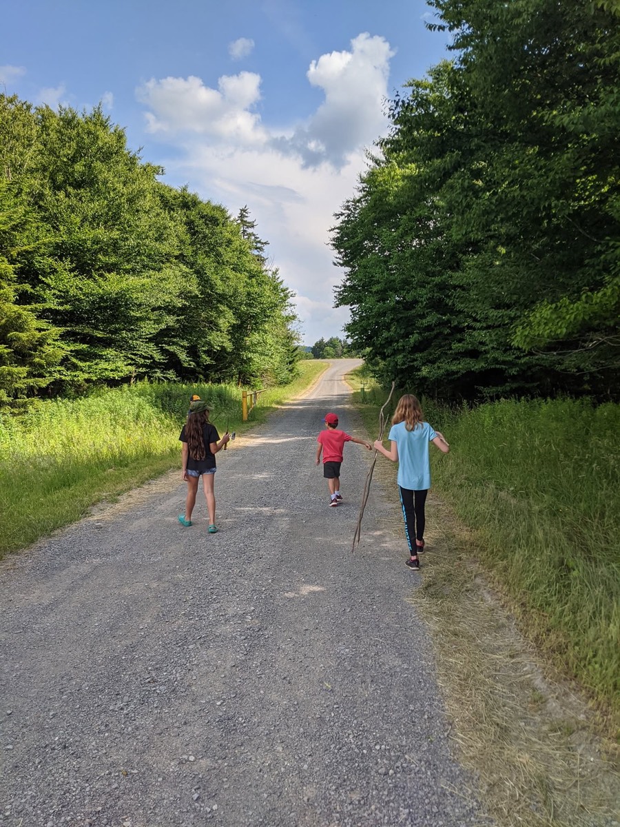 A straight empty gravel road running between walls of green trees under a blue sky with white clouds, three small figures walking up the middle of it.