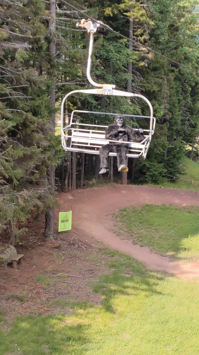 Gary seated by himself on a chairlift chair in the gray shaggy gorilla suit, one hand on the safety bar, pine woods and a curving dirt bike trail below.