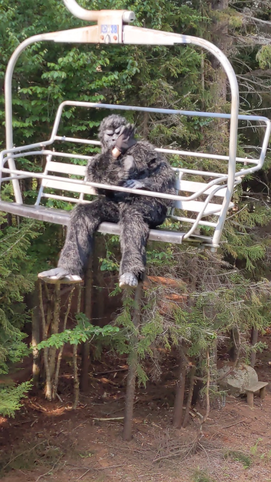 Gary close up on the chairlift, the gray shaggy gorilla suit sitting upright with arms folded over the bar and feet hanging off the seat, evergreens behind.
