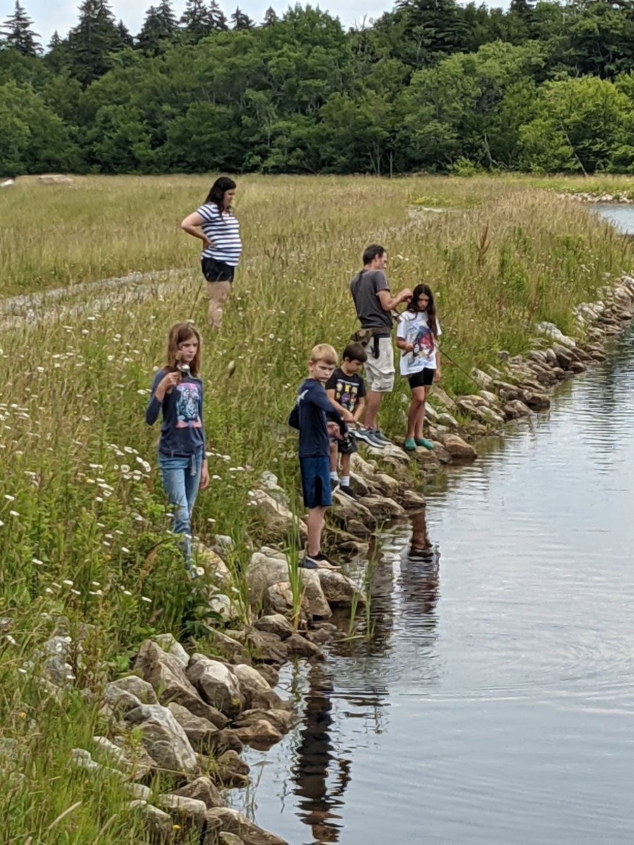 Two adults and four children spread along a rock-lined pond bank through tall grass, several of the children holding fishing rods, still water reflecting them.