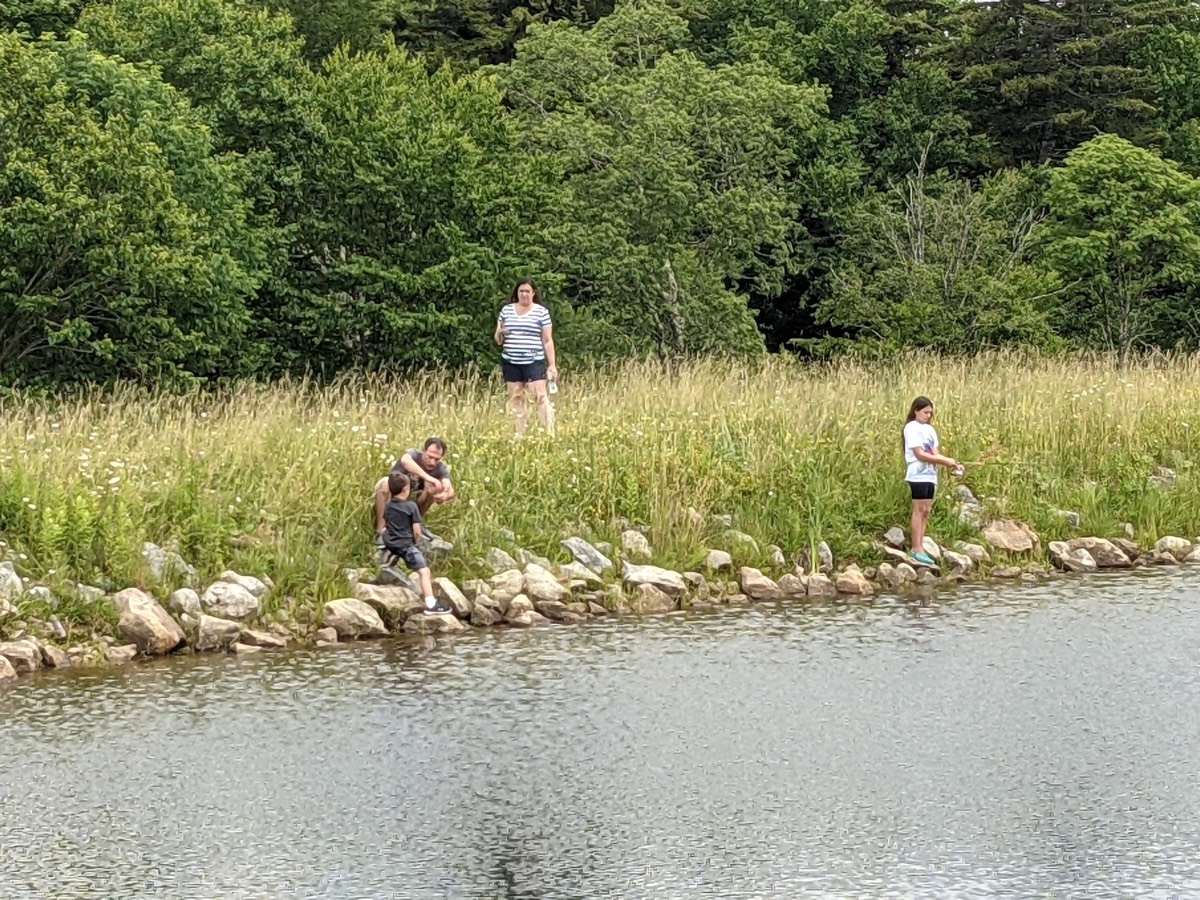 Four people along a grassy pond bank with dense green woods rising behind: a woman standing back in the meadow, a man helping a boy down the rocks, and a girl at the water's edge with a rod.