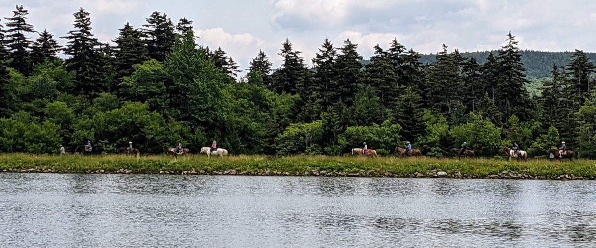 A long line of riders on horseback strung out along the far bank of a pond in front of dark spruce woods, seen across flat water.