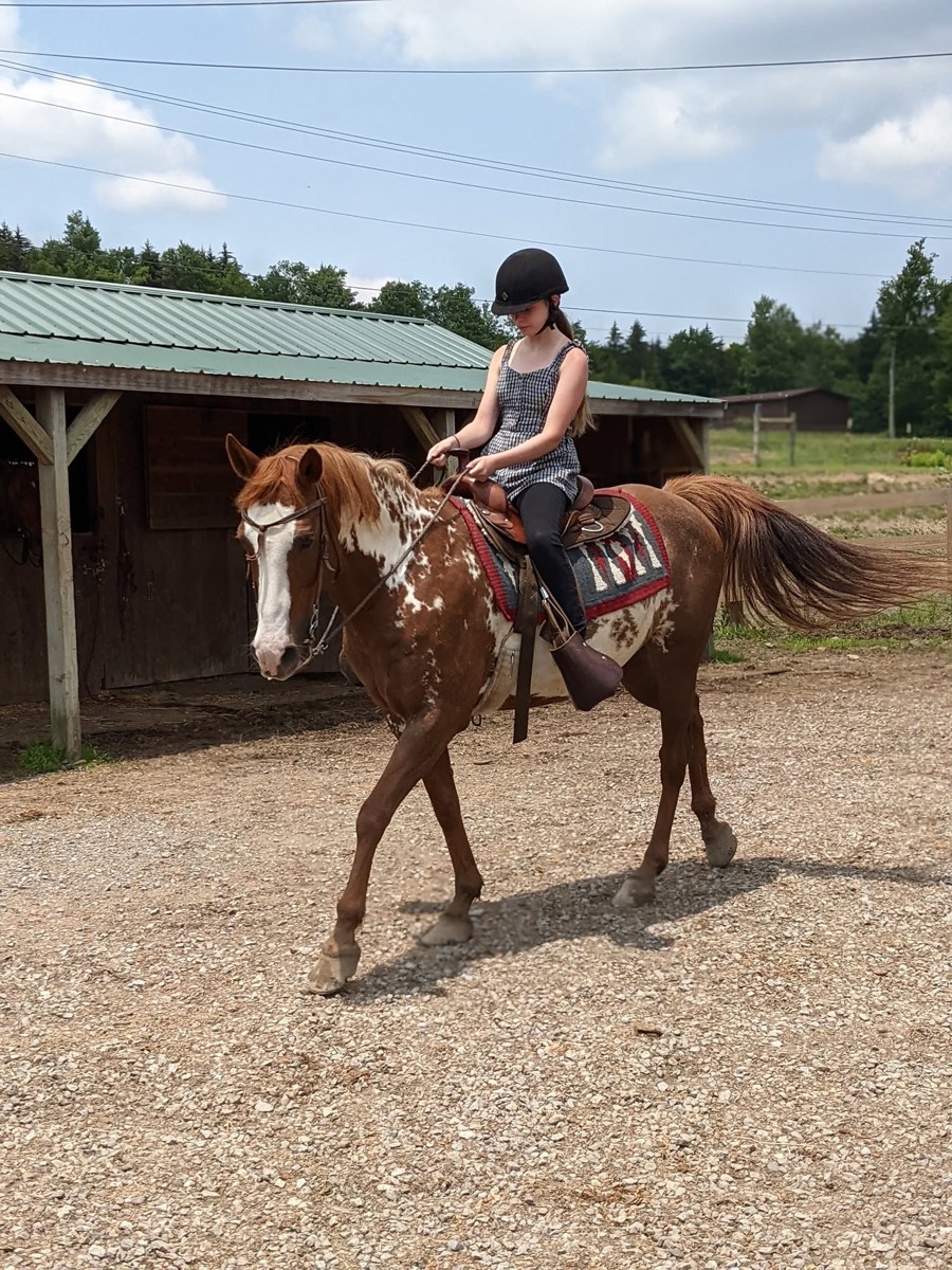 A rider in a black helmet on a chestnut and white paint horse crossing a gravel yard in front of an open-fronted shelter.