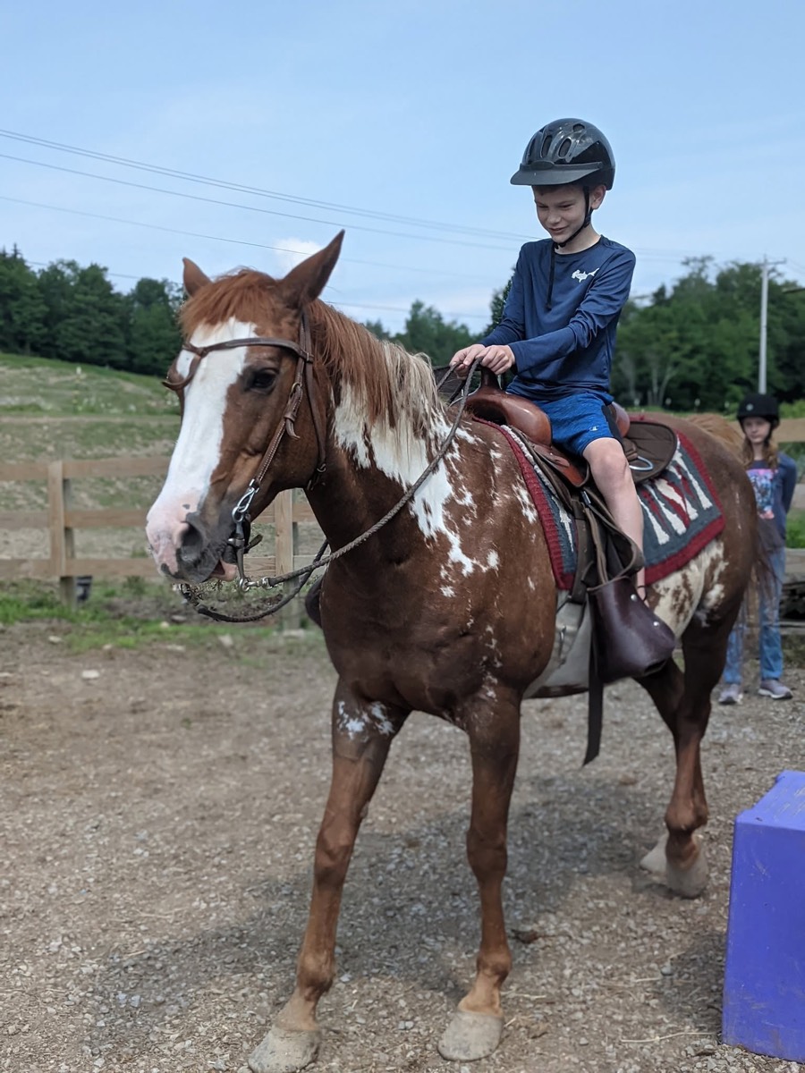 A boy in a black helmet and blue shirt sitting on a chestnut and white paint horse on gravel, a purple mounting block behind.