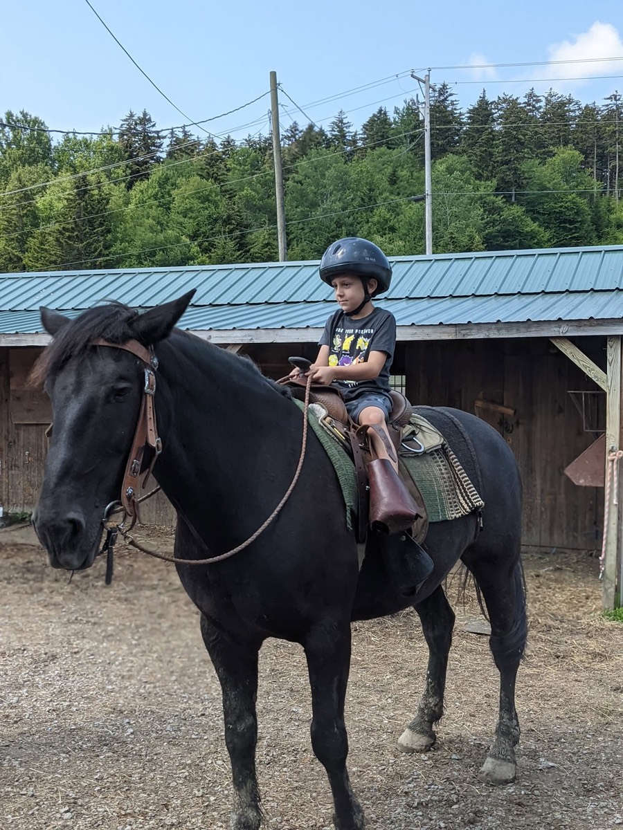 A boy in a helmet sitting high on a large black horse in front of a barn with a green metal roof.