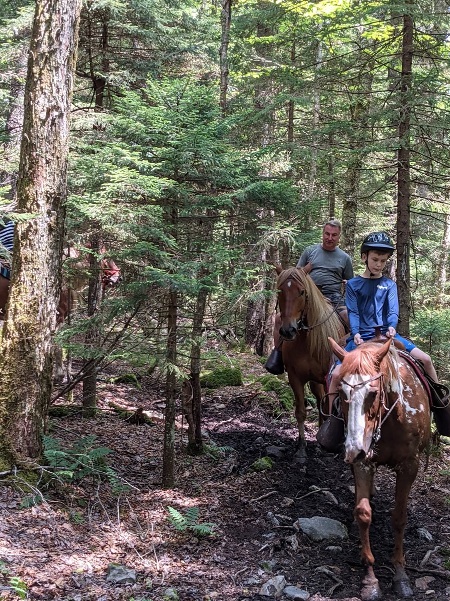 Two riders on a paint horse and another mount picking their way along a narrow trail through dense young spruce woods.