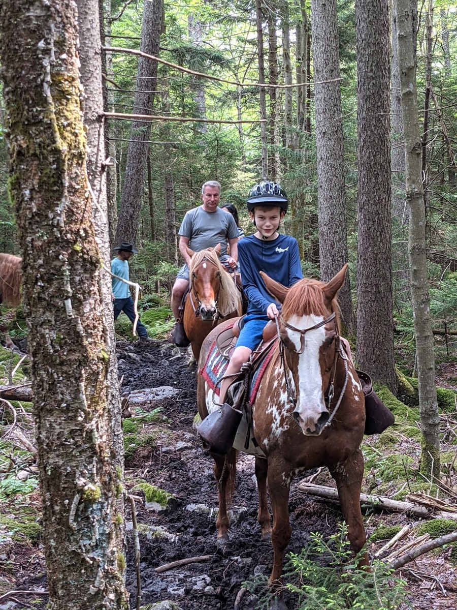 Riders on horseback climbing a churned muddy section of woodland trail between tall thin trunks.