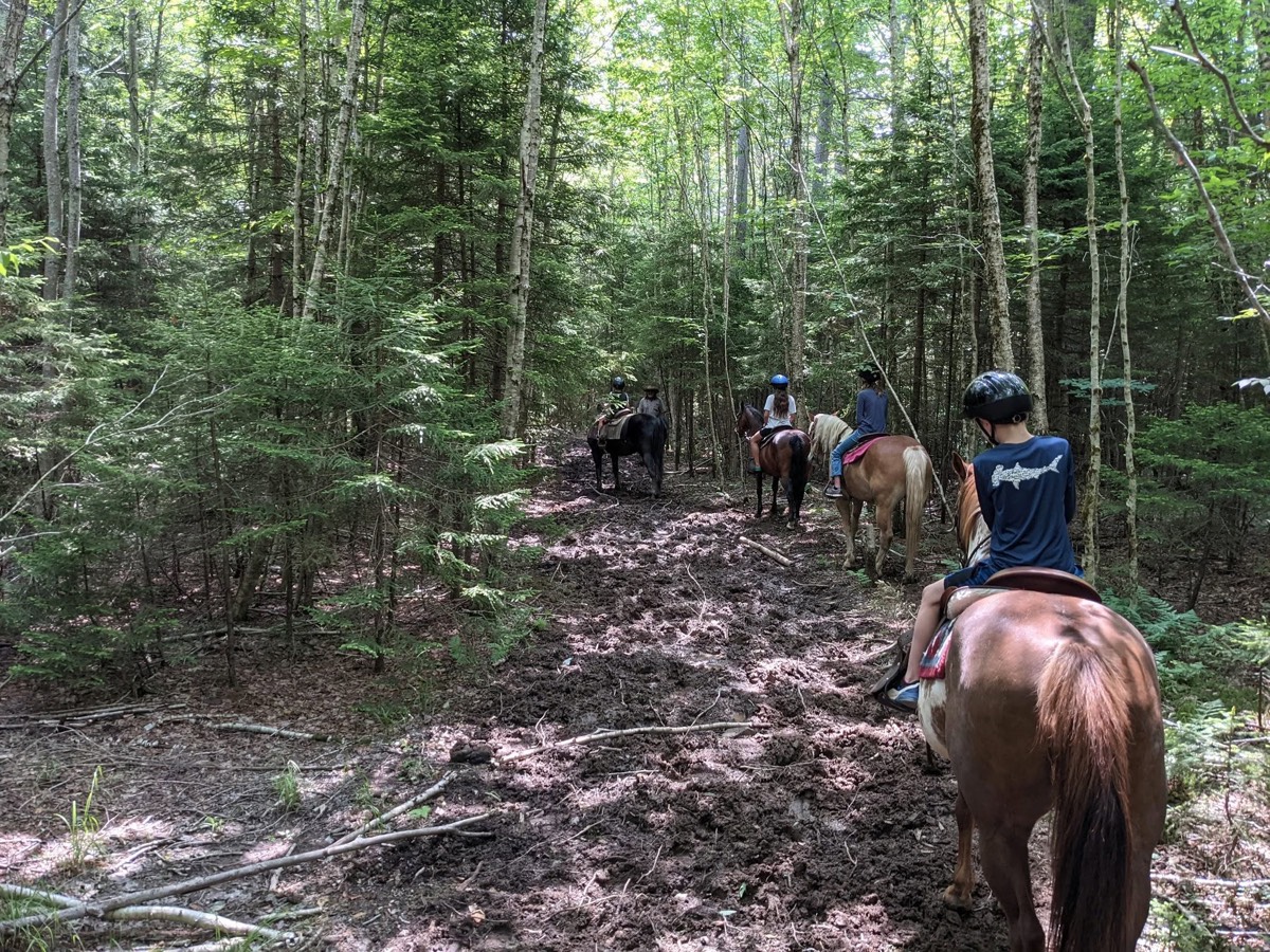 The view forward from horseback along a muddy woodland trail with three riders strung out ahead through the trees.