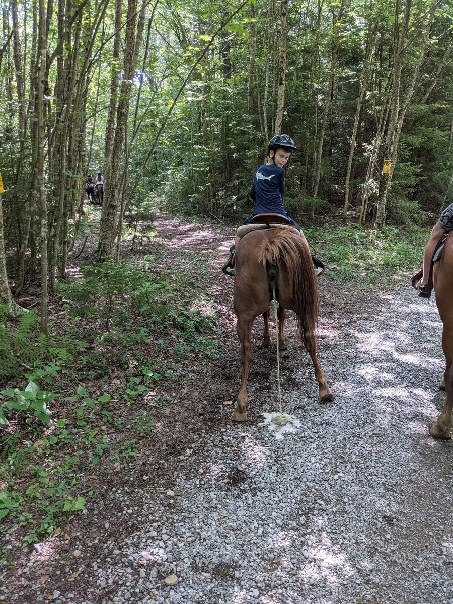 A view over a horse's rump along a stony uphill woodland trail, another rider ahead in the trees.