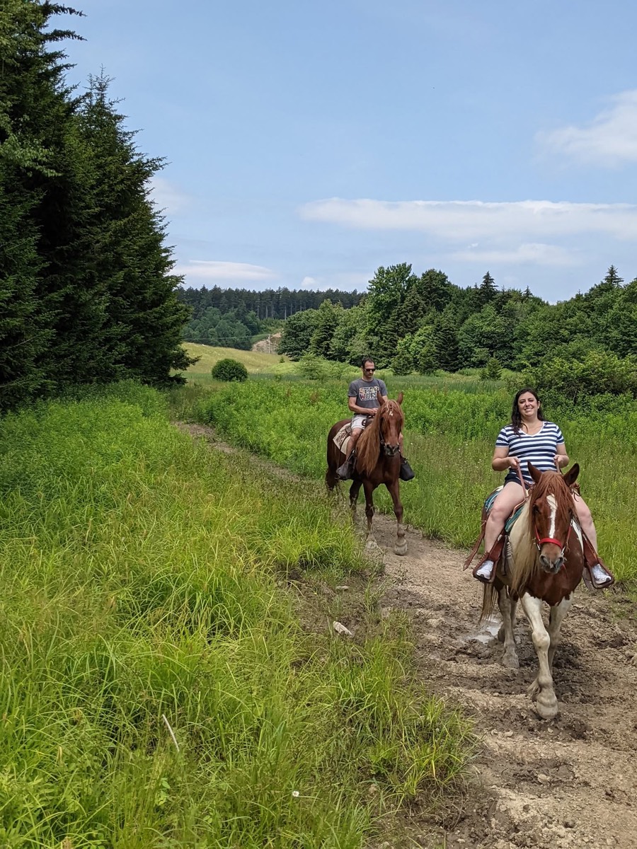 Two riders coming down a broad grassy track toward the camera, spruce woods on both sides under a blue sky.