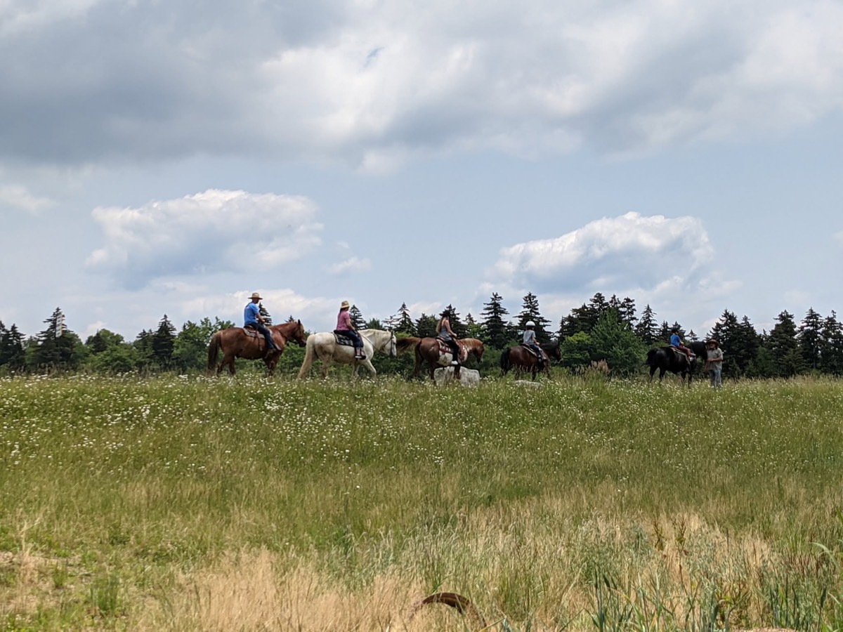 A line of riders on horseback crossing a wide grassy meadow under a big sky with scattered cloud.