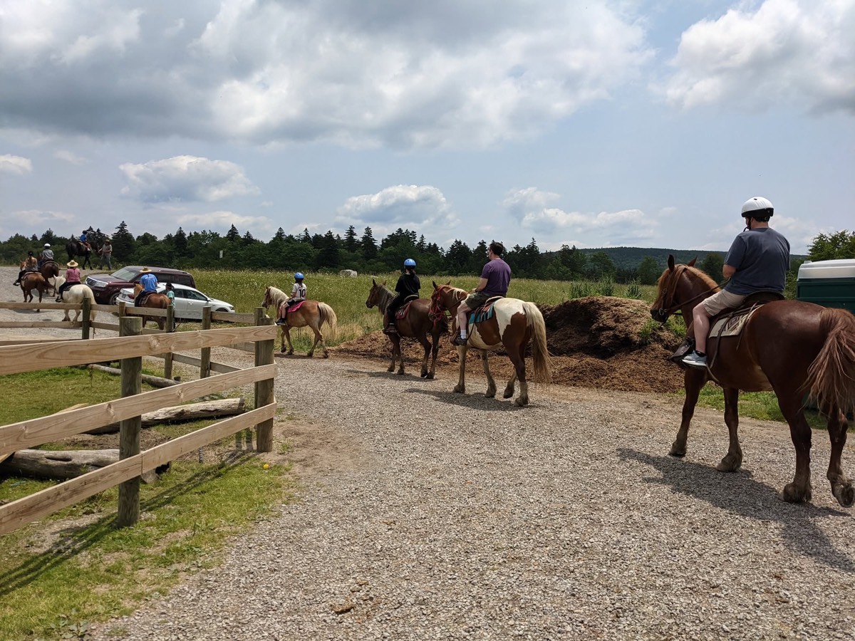 Riders returning along a gravel road in single file past a wooden fence, cars and a hillside behind.