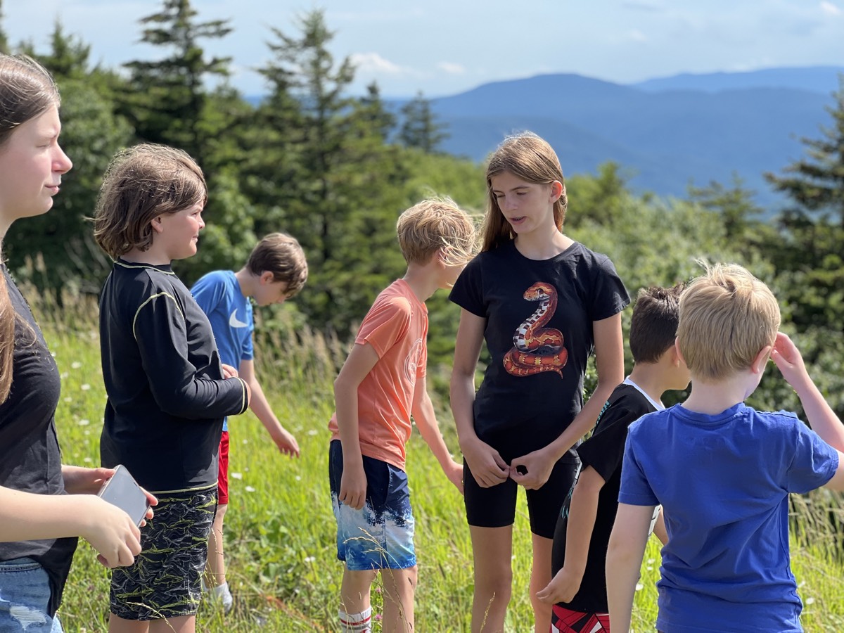 Seven children standing and talking in a tall grassy meadow on a mountaintop, evergreens and blue ridges behind them.