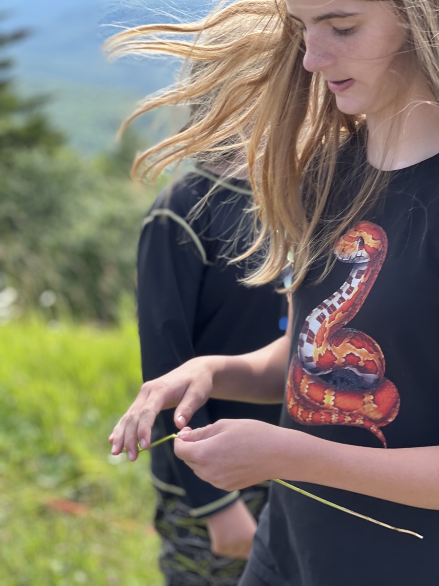 A girl in a black snake-print t-shirt holding a blade of grass, her long hair blown sideways across her face by the wind.