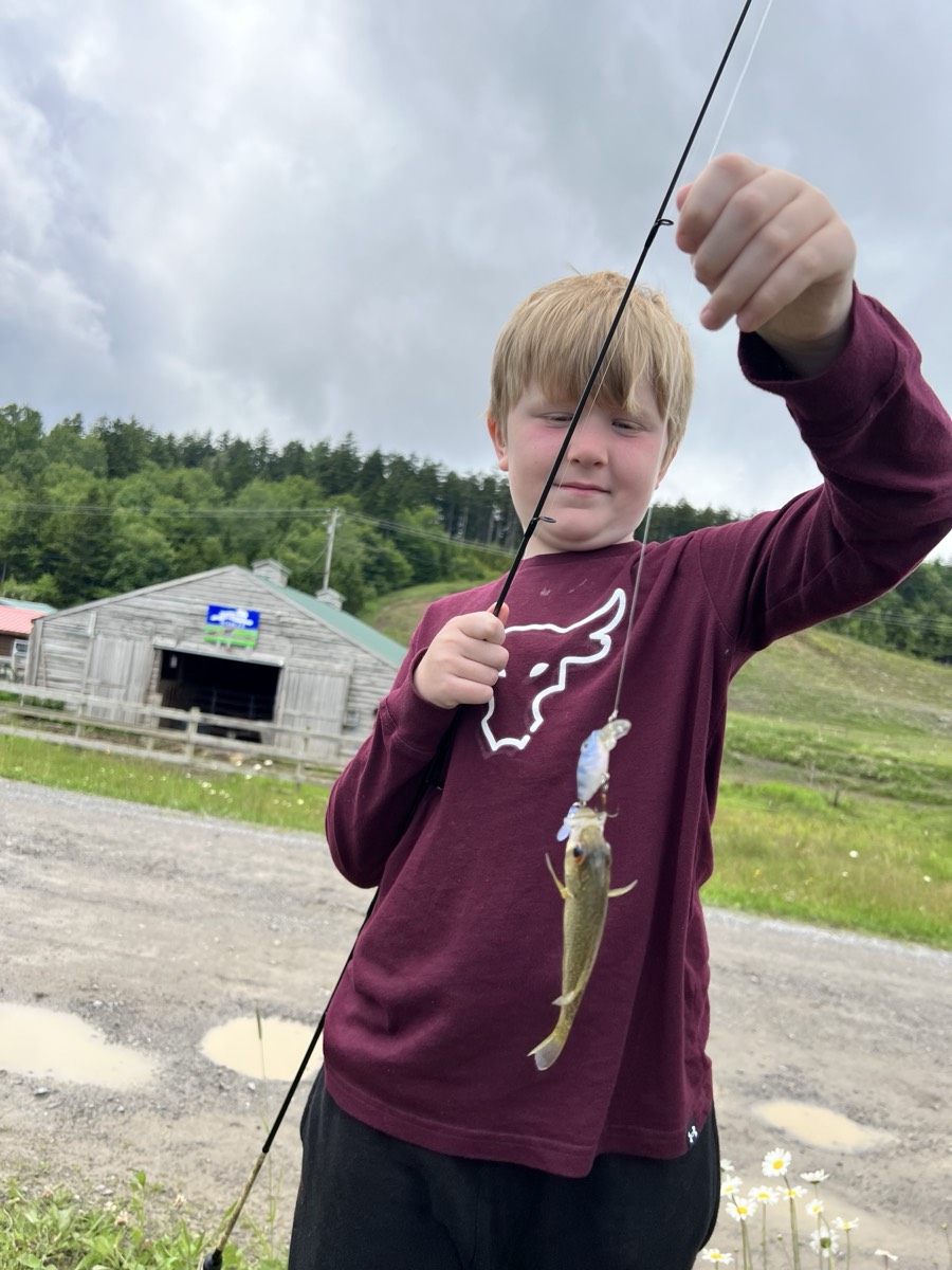 The same boy in a maroon shirt holding his line up with two small fish hanging from it, a barn and green hills behind him.