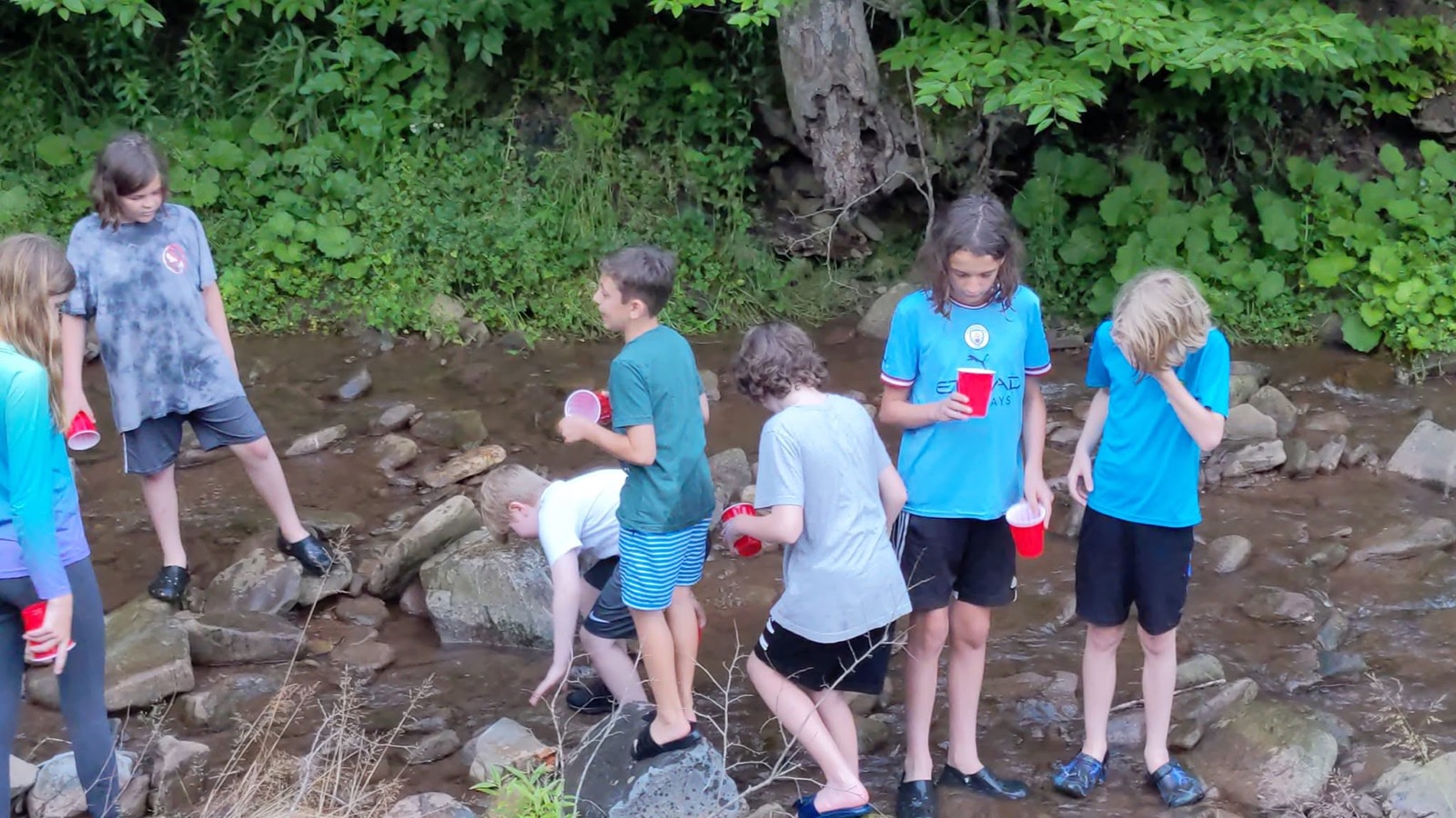 Seven children spread across a shallow rocky creek in the woods, most holding red plastic cups, wading and turning over stones.